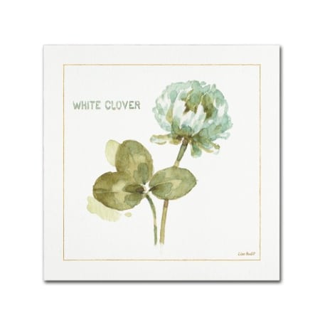 Lisa Audit 'My Greenhouse Clover' Canvas Art,24x24